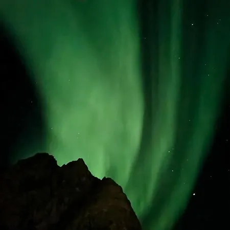 Leilighet Cozy And Spacious In