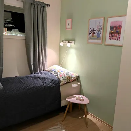 Cozy And Spacious In Daire Svolvær