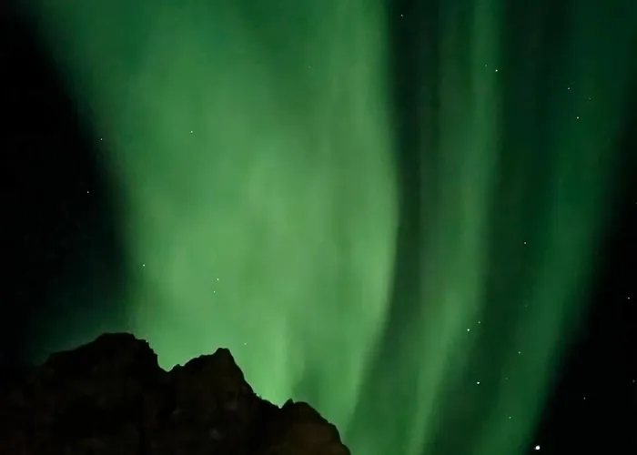 Leilighet Cozy And Spacious In