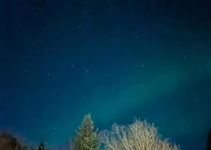 Cozy And Spacious In Svolvær