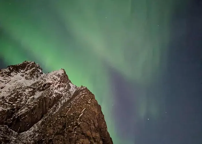 Leilighet Cozy And Spacious In