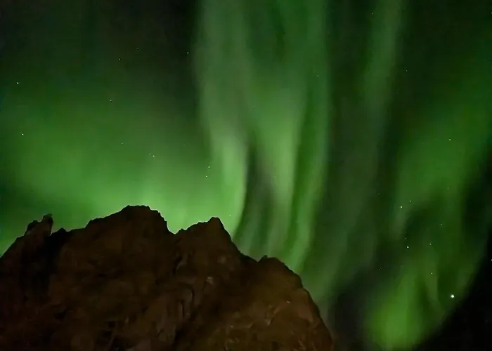 Leilighet Cozy And Spacious In *